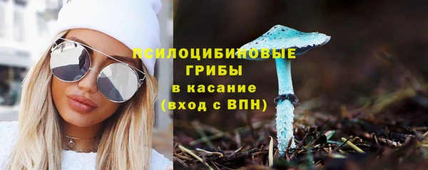 бошки Алексин