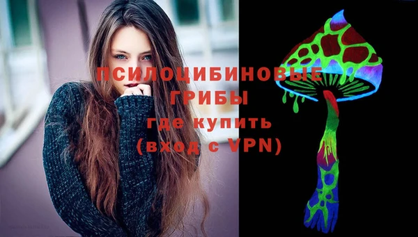 винт Алзамай