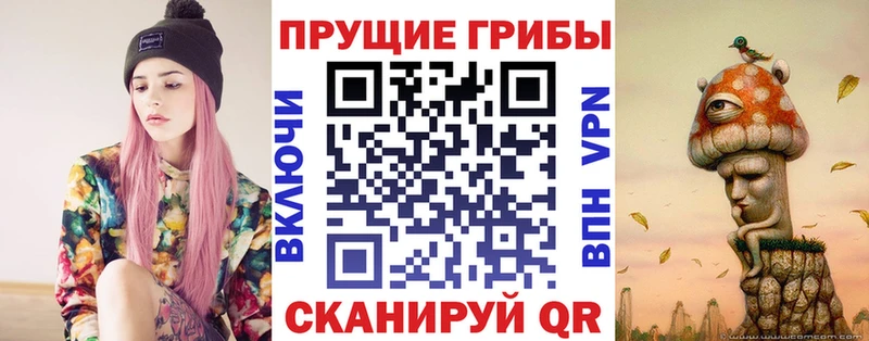 Купить где  Кувандык  Псилоцибиновые грибы GOLDEN TEACHER 